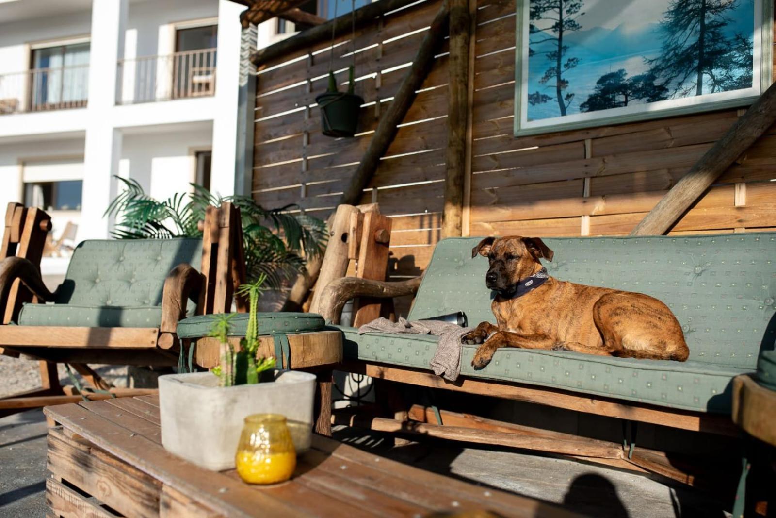 Villa Intuitiva - Relaxation And Mindful Stay Lourinhã Exterior photo